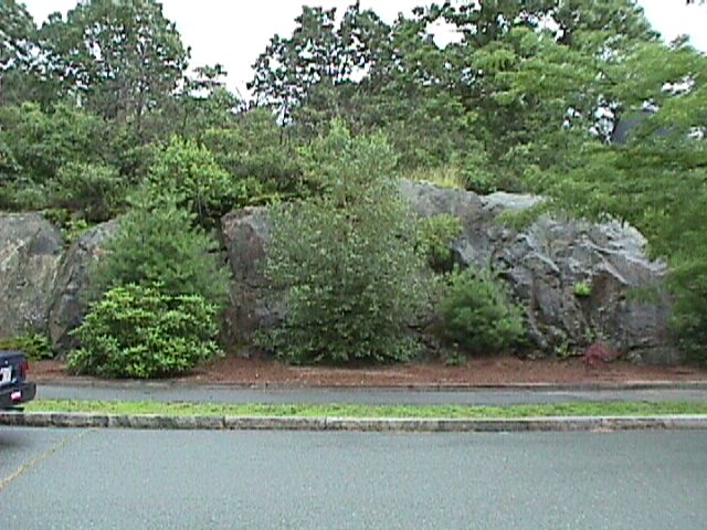 the front yard, from the street